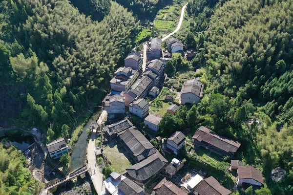 Wenzhou launches profitable forest carbon credit trading for villages