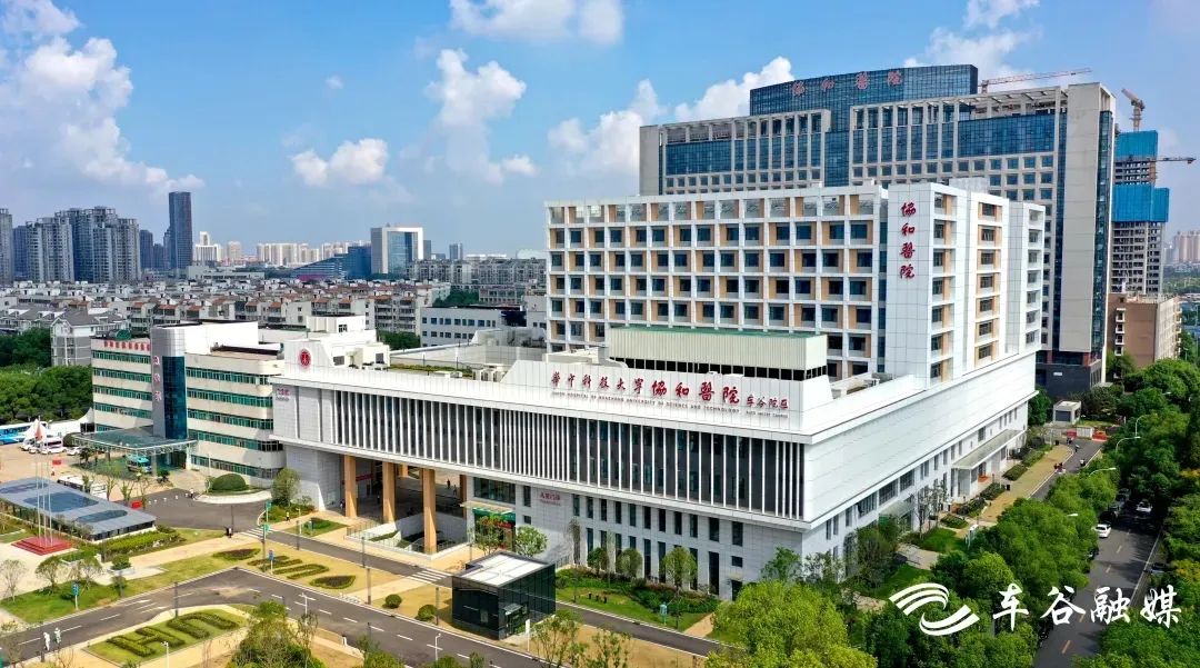 WEDZ advances industry and urban integration 