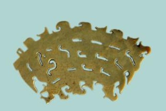 Treasures to tell stories of Yangtze River and Chinese civilization in Changsha