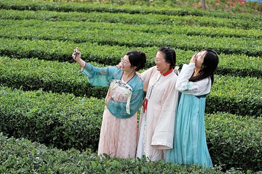 Where tea blends with culture and tourism