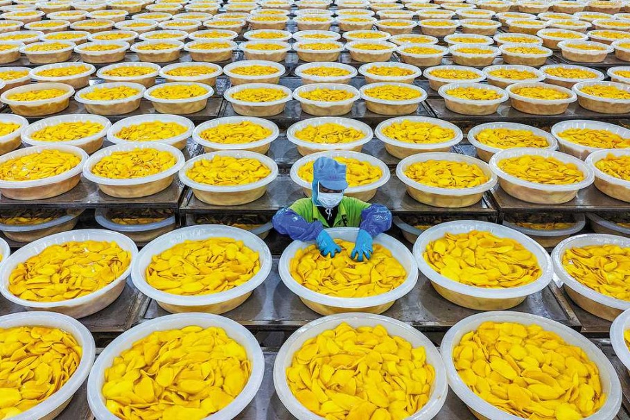 Experts praise move to elevate free trade area