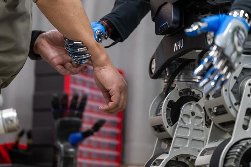 Hubei's foreign trade grows despite tariff restrictions