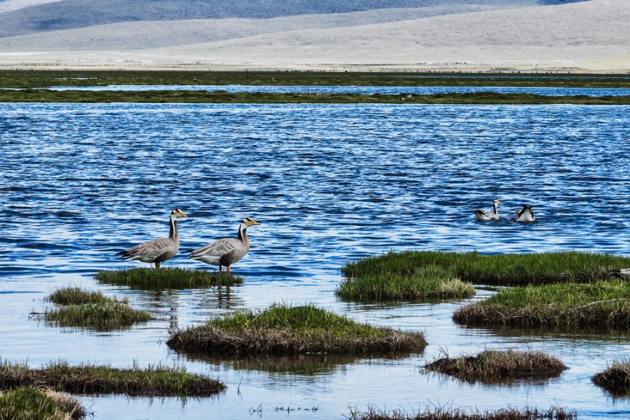 Scenery of Qinghai Longbao National Nature Reserve