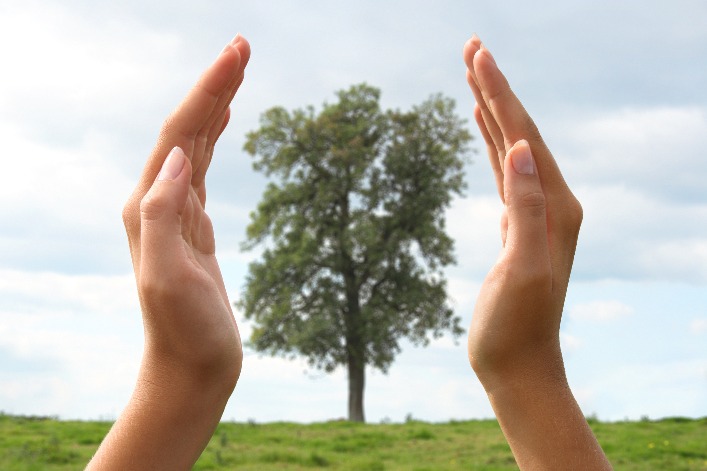 Chinese prosecutors warn of rising online crimes targeting minors