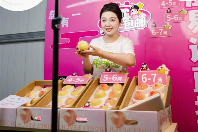 Wuxi's prized peaches enter peak harvest season