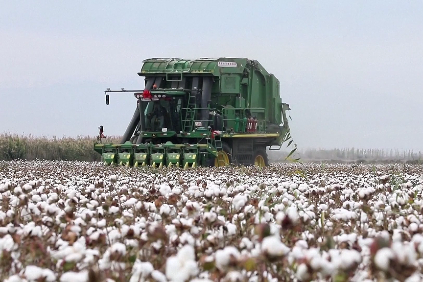China's sustainable cotton initiative yields positive result