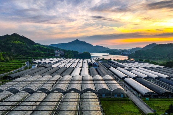 Overture at dawn for mountain village