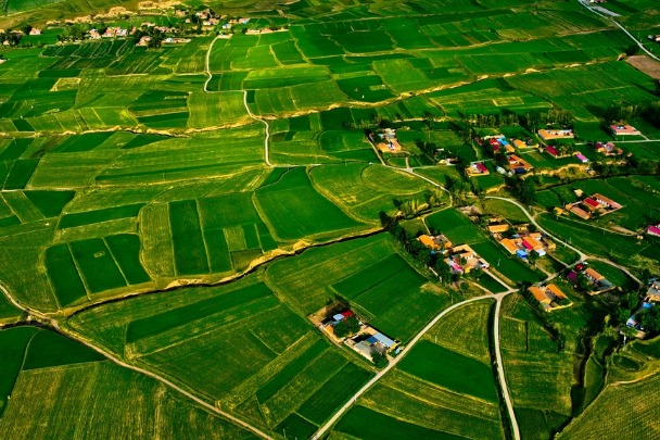 A lush and vibrant village at the foot of Qilian Mountains