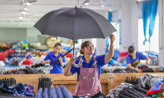 Jinjiang launches umbrella hub to open up global markets