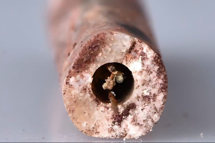 2,000-year-old steel acupuncture needles unearthed in Jiangxi