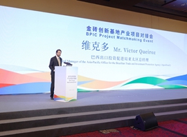 BRICS partners sign 12 projects worth $4b at matchmaking event in Beijing