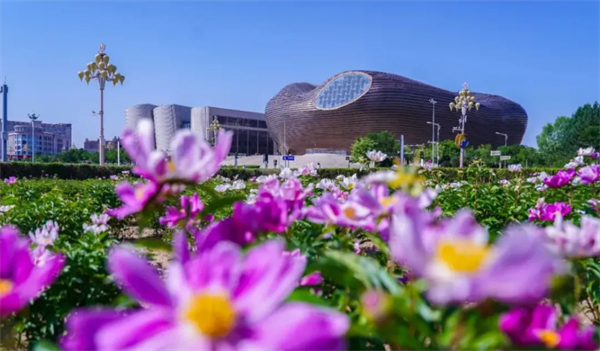 Flowers bloom across Kangbashi streets