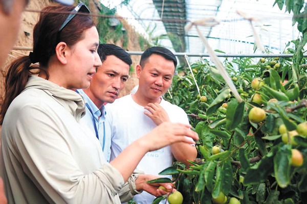 Foreigners take lessons from class to farm back home
