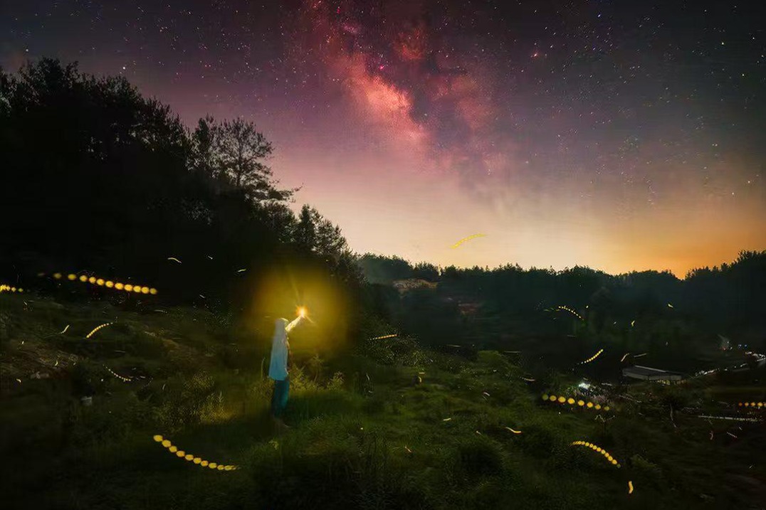 Fujian's firefly season draws nocturnal nature lovers