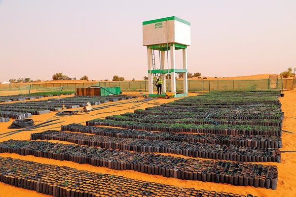 China earns praise for Africa's green transition