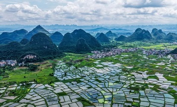 Guilin rice fields resembles stained-glass pattern