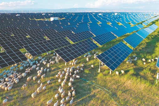 Herders return home to greener pastures