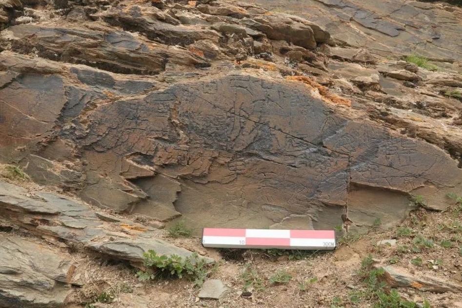 Stone carving discovered in Qinghai stirs debate