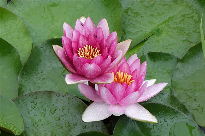 Embracing nature at Tangdao Bay Wetland Park in Qingdao