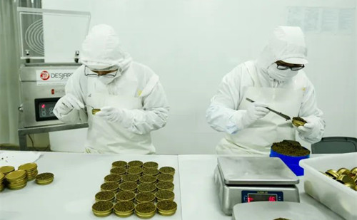 Quzhou enterprises show strength, innovation in foreign trade