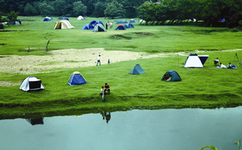 Quzhou's wetlands offer refreshing summer escape