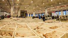 Zhoushan seafood market sees surge in orders