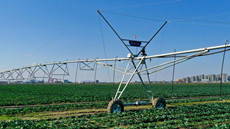 Zhoushan turns salt fields to high yields with tech