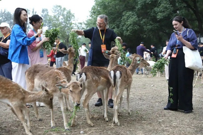 Foreign delegation visits Nanhaizi milu deer park in Beijing E-Town
