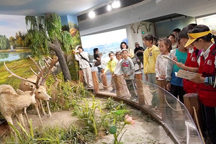 Multi-museum collaboration unlocks new experiences in Beijing E-Town