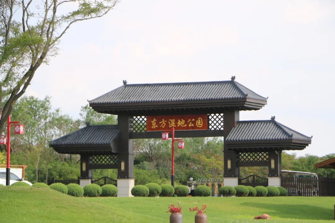 Gliding through rustling reeds in Jinzhou's wetland park