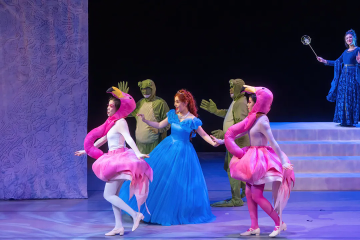 Cinderella's enchanting musical journey to wow audiences