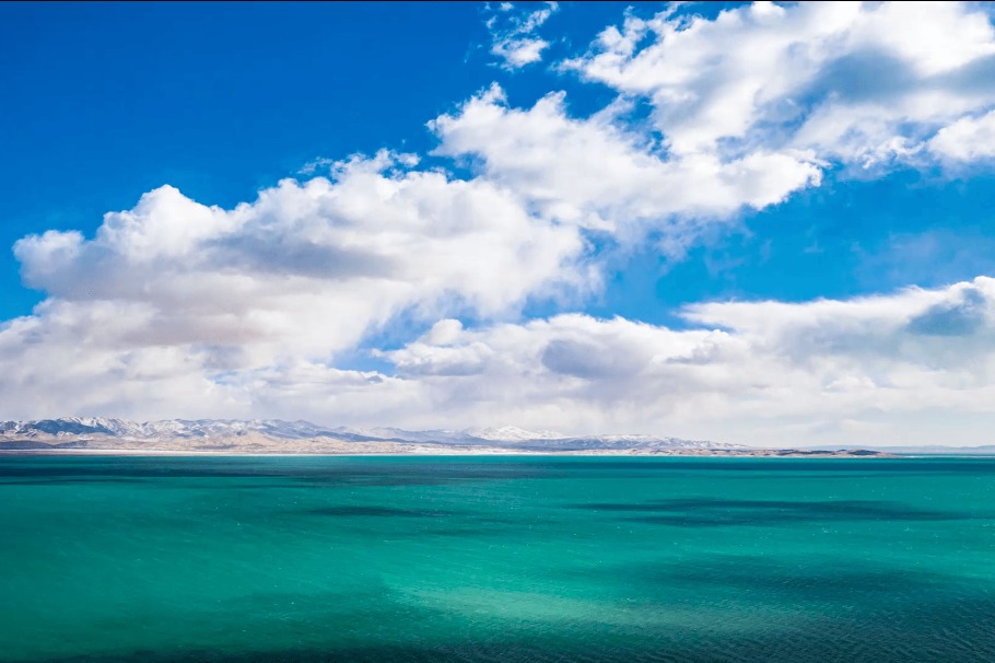 Herders in Qinghai harvest ecological benefits