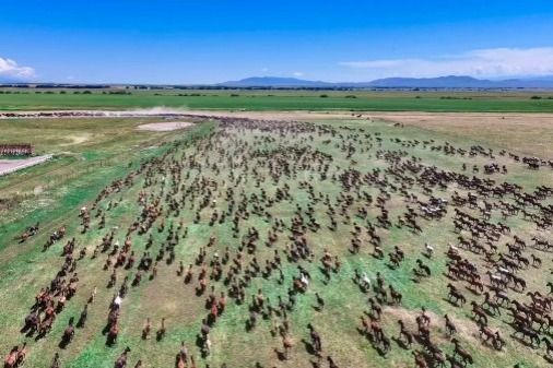 Material wealth, social unity showcased at Xinjiang gala