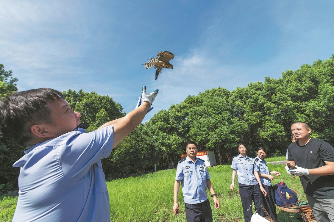 Drive against harm to wildlife intensifies