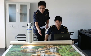 Xiamen FTZ launches smart art bonded warehouse to boost global art trade