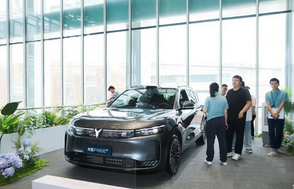 WEDZ to launch 20 NEV models in 2025