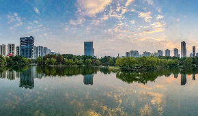 NETDA establishes partnership with SWS