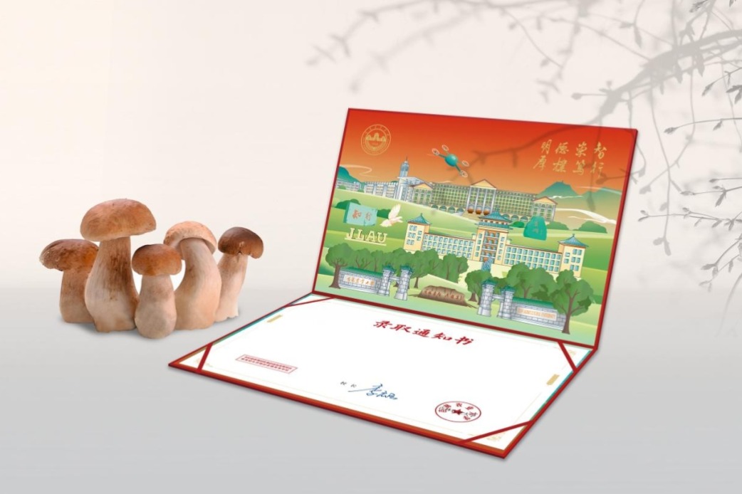 Creative university acceptance letters spur social media frenzy