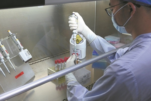 Chikungunya battle requires long-term vigilance, say experts