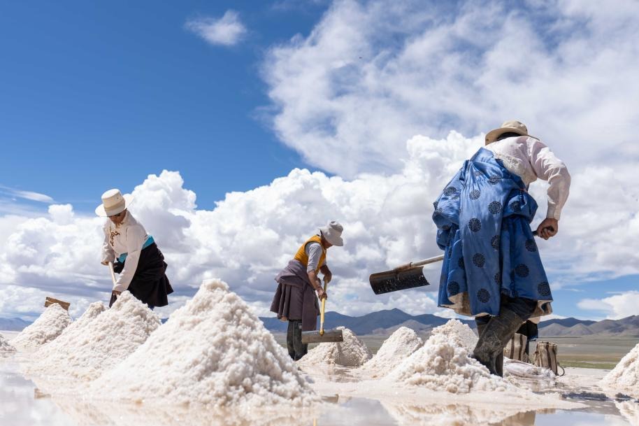 Xizang's regional GDP expected to exceed 300 billion yuan this year