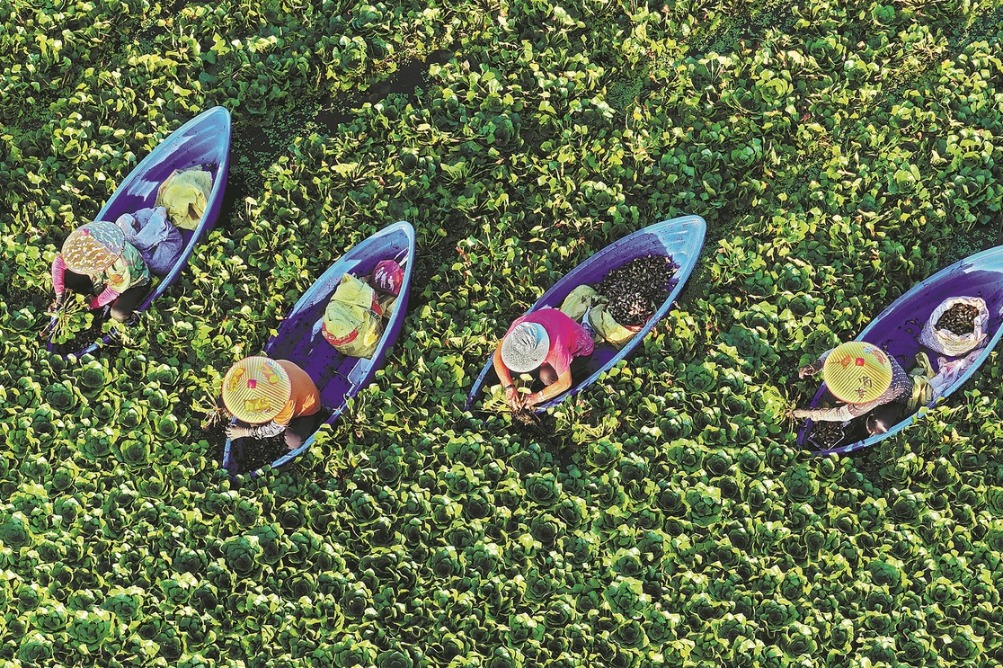 Govt aims for better farm product access