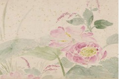 Timeless lotus-themed paintings on view in Nanjing