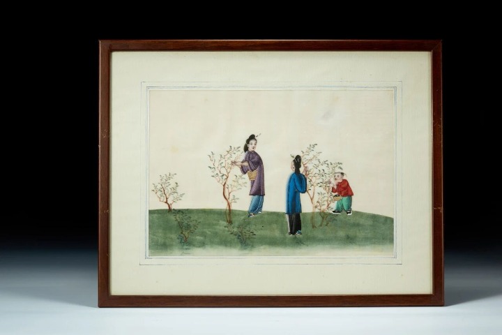 Zhejiang exhibition narrates connections between women and tea