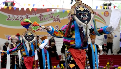 Xizang forges ahead on road to stability and prosperity