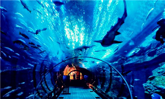 Qingdao Haichang Polar Ocean World