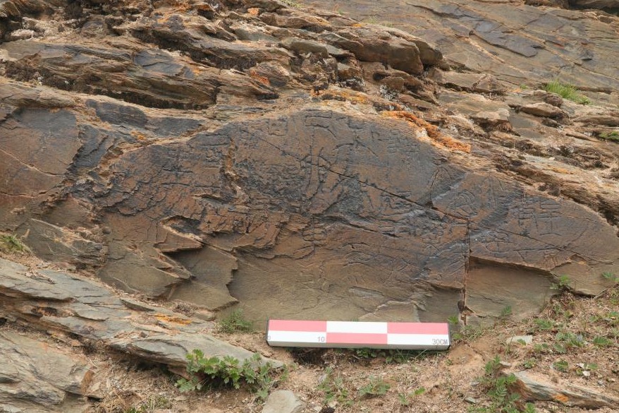 China discovers highest-altitude Qin Dynasty engraved stone on Qinghai-Tibet Plateau