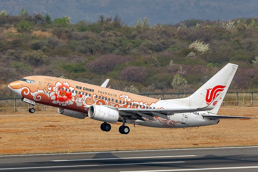 Air China, tourism group launch inbound travel push