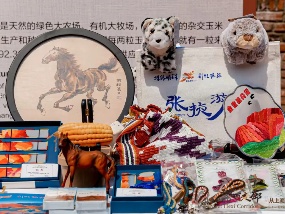 Silk Road gem Zhangye promotes tourism in Shanghai