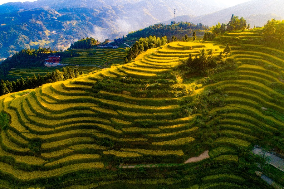 Agricultural heritage conference opens in Hunan province