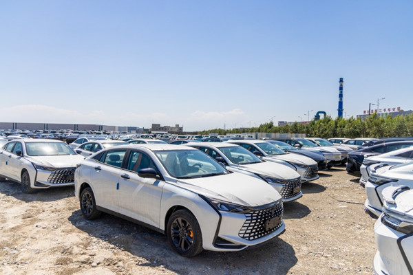 WEDZ vehicles embark on 14-day journey to Uzbekistan via Khorgos